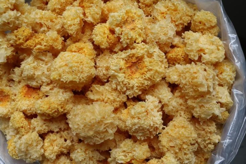 广州人野生通江椴木小银耳干货木耳丑耳鲜炖食材