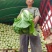 白菜精品黄心白菜产地货源充足质量保证配发发市场商超电商