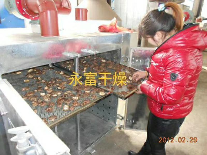 香菇烘干机，蘑菇烘干机，平菇，赤松茸烘干机，菌类烘干机
