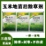 玉米除草剂玉米地苗后专用除草剂安全不伤苗烟嘧磺隆莠去津