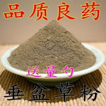 正品新货垂盆草粉中草药垂盆草粉野生垂盆草粉包邮