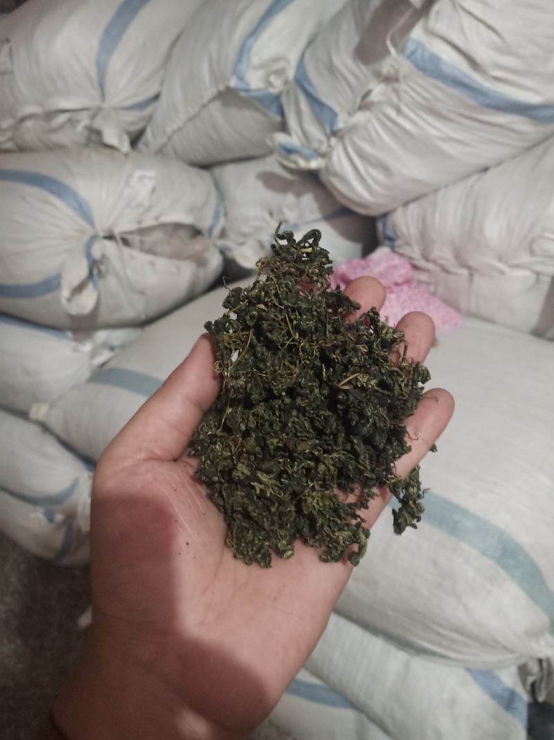 绞股蓝