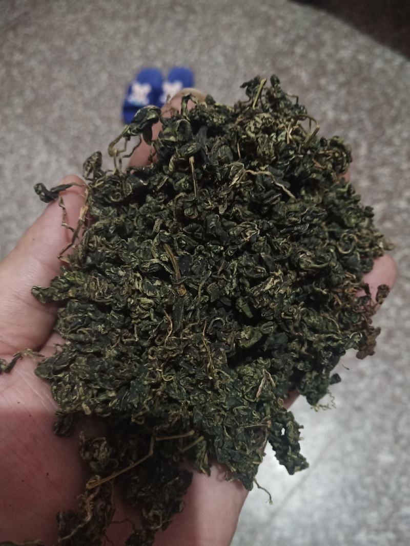 绞股蓝