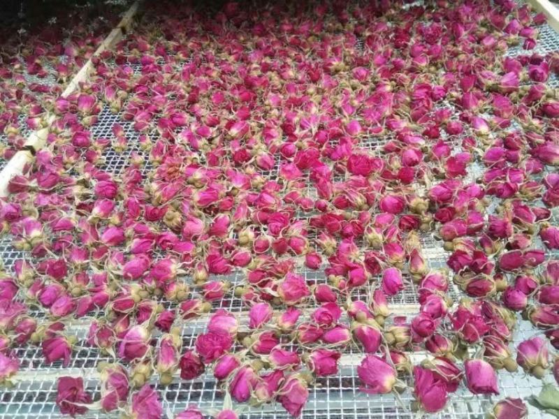 玫瑰花烘干机，玫瑰花烘干设备，玫瑰花烘干房，玫瑰花烘干箱