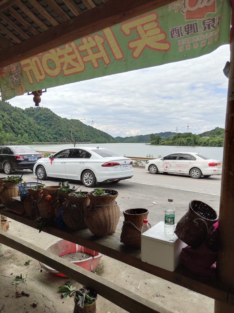 杨梅鲜果，深山杨梅，杨梅之乡，一箱四斤顺丰冷链包邮