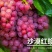 2025年新疆火焰玻璃翠无核白葡萄新货上市,一件代发包