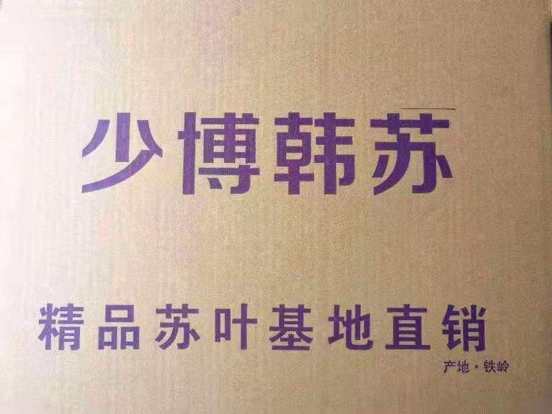 韩国苏子叶大量批发少博韩苏