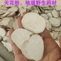 中药材花粉天花粉片