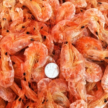 南美白烤虾虾干，一点不咸干度好1箱净18斤一手货源不包邮