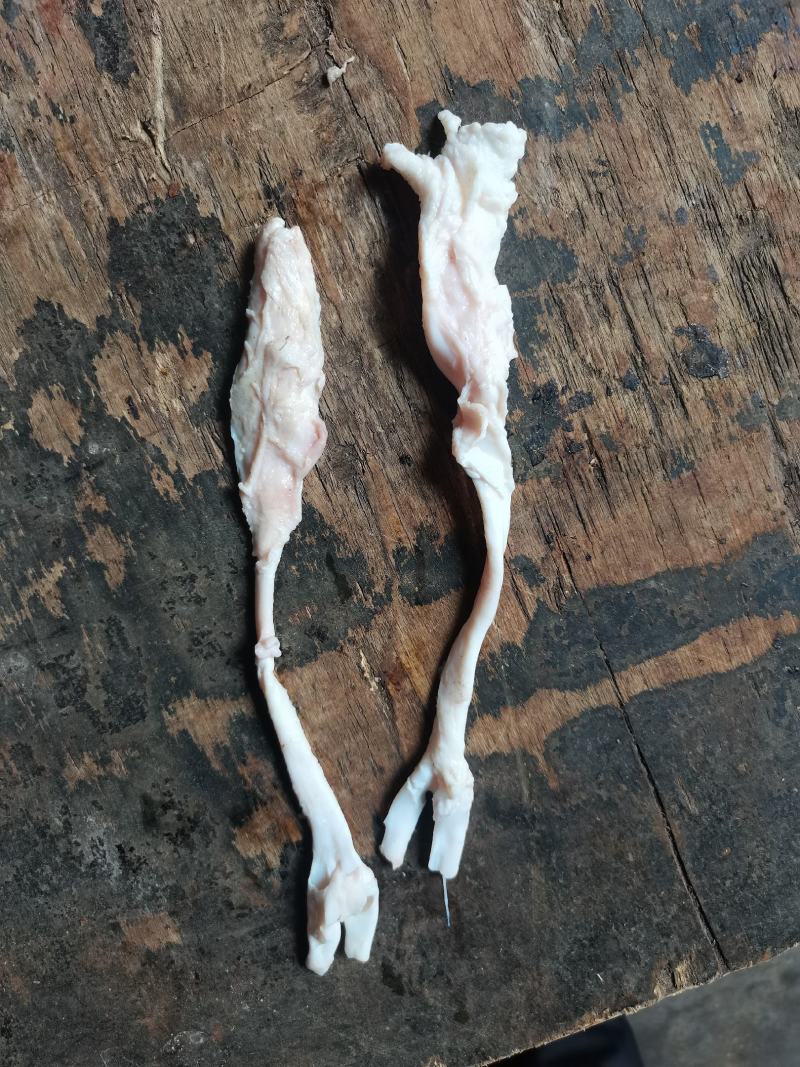 猪蹄筋新鲜猪蹄筋酒店专用鲜猪蹄筋