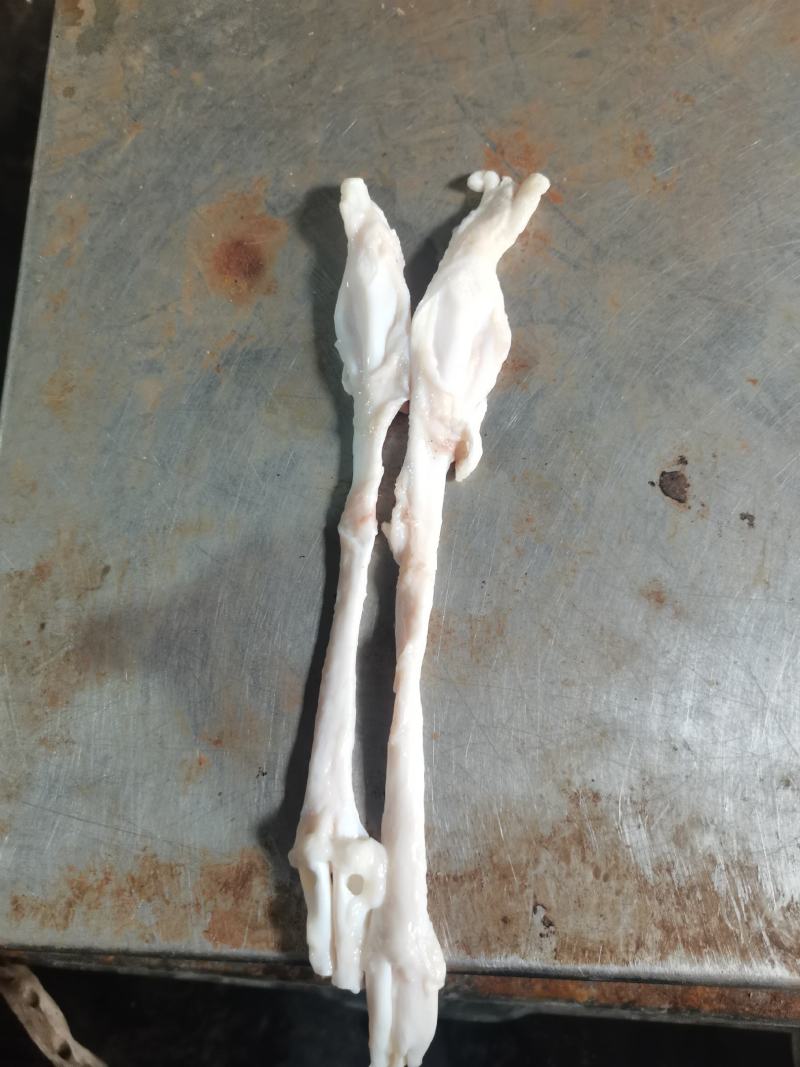 猪蹄筋新鲜猪蹄筋酒店专用鲜猪蹄筋