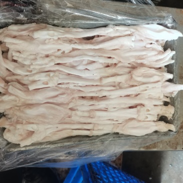 猪蹄筋新鲜猪蹄筋酒店专用鲜猪蹄筋