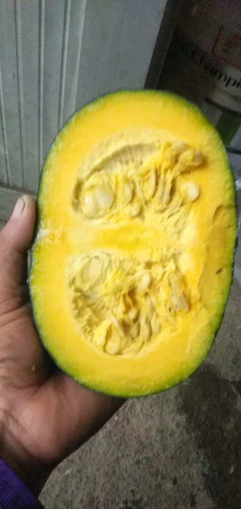 板栗南瓜