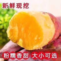 新鲜西瓜红红薯鲜挖地瓜现挖香甜糯大量上市，欢迎采购