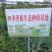 云南省文山州丘北县椿苗基地