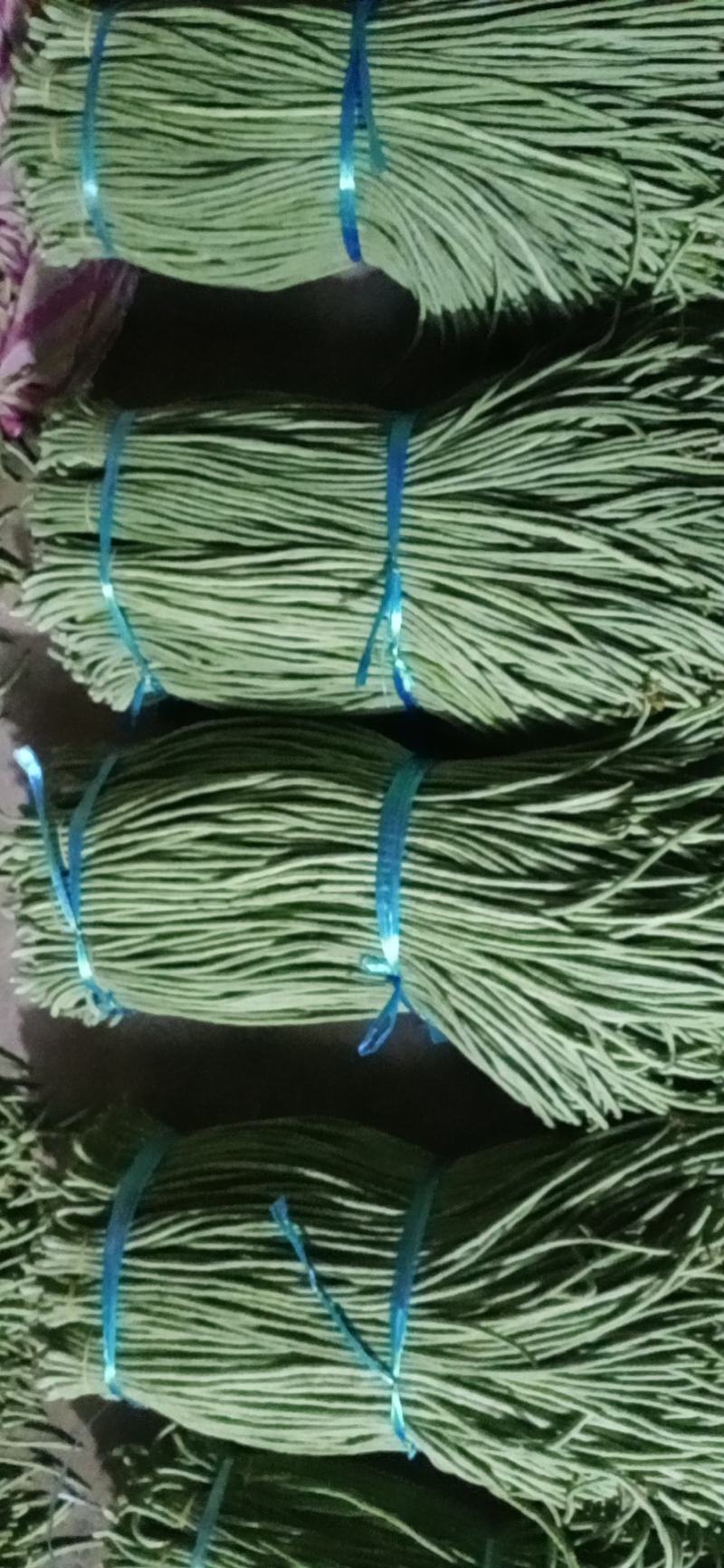 精品青长条豆角，大量上市，质量保证，不老条，欢迎来电