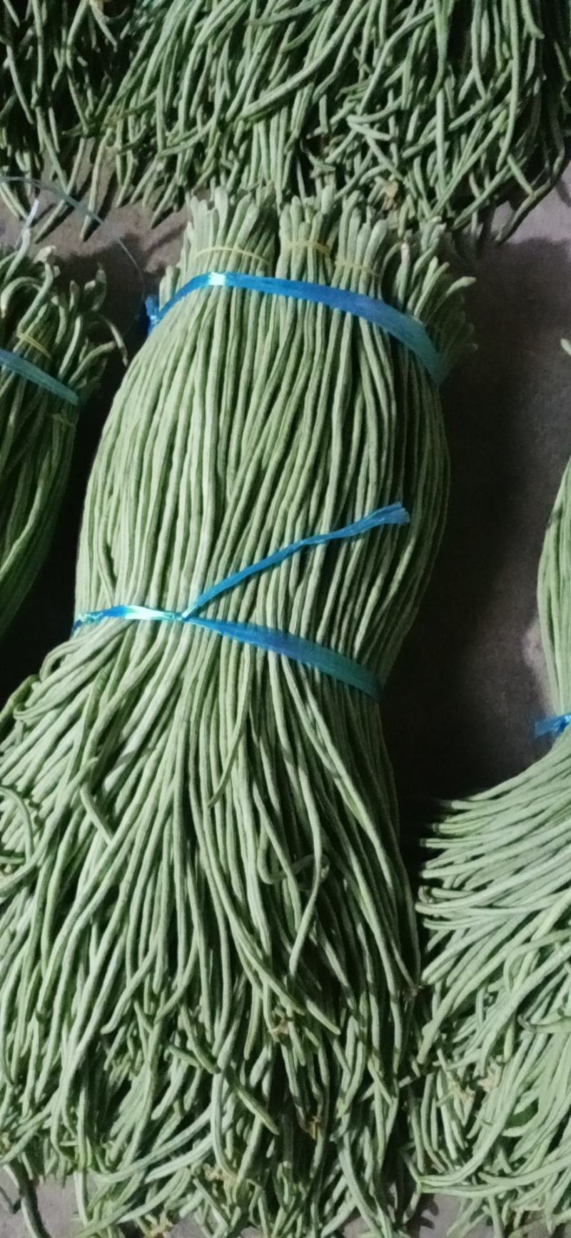 精品青长条豆角，大量上市，质量保证，不老条，欢迎来电