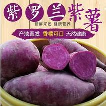 紫薯新鲜现货紫罗兰紫薯蔬菜