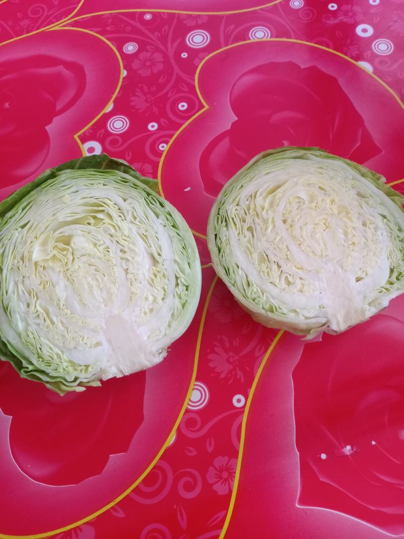 甘蓝（绿冠，绿霸）大量上市