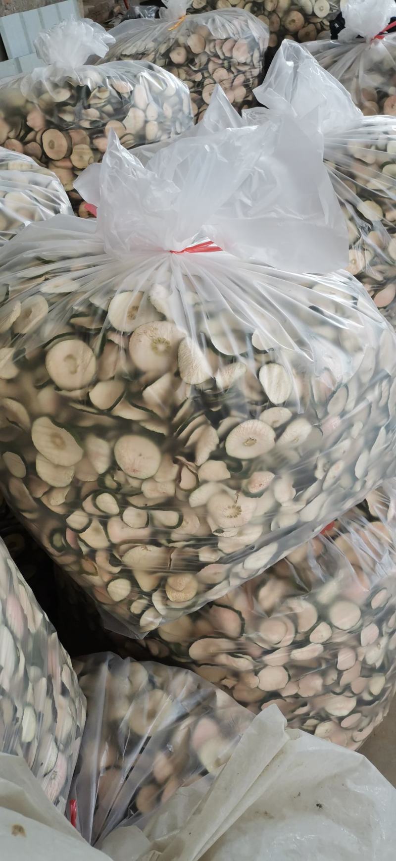 桂林保健茶香椽皮减肥茶原产地批发