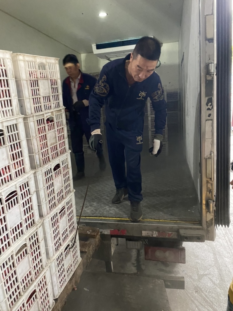 【冰杨梅】产地直销冷冻荸荠杨梅大量供应量大从优