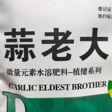 大蒜膨大素蒜老大大蒜膨大剂蒜老大促壮苗、控旺长抽苔早
