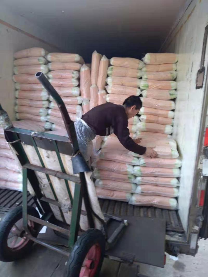 黄心菜产地一手货源保质保量欢迎咨询订购