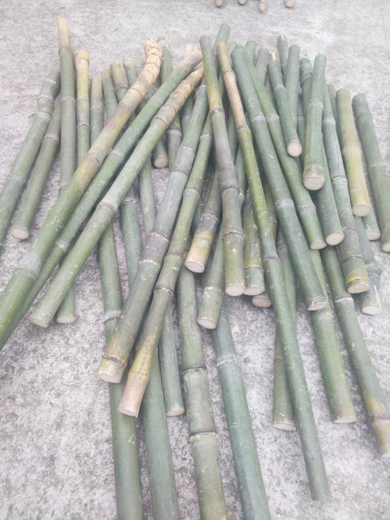 大量实心竹，各种规格，全国各地发货保质保量