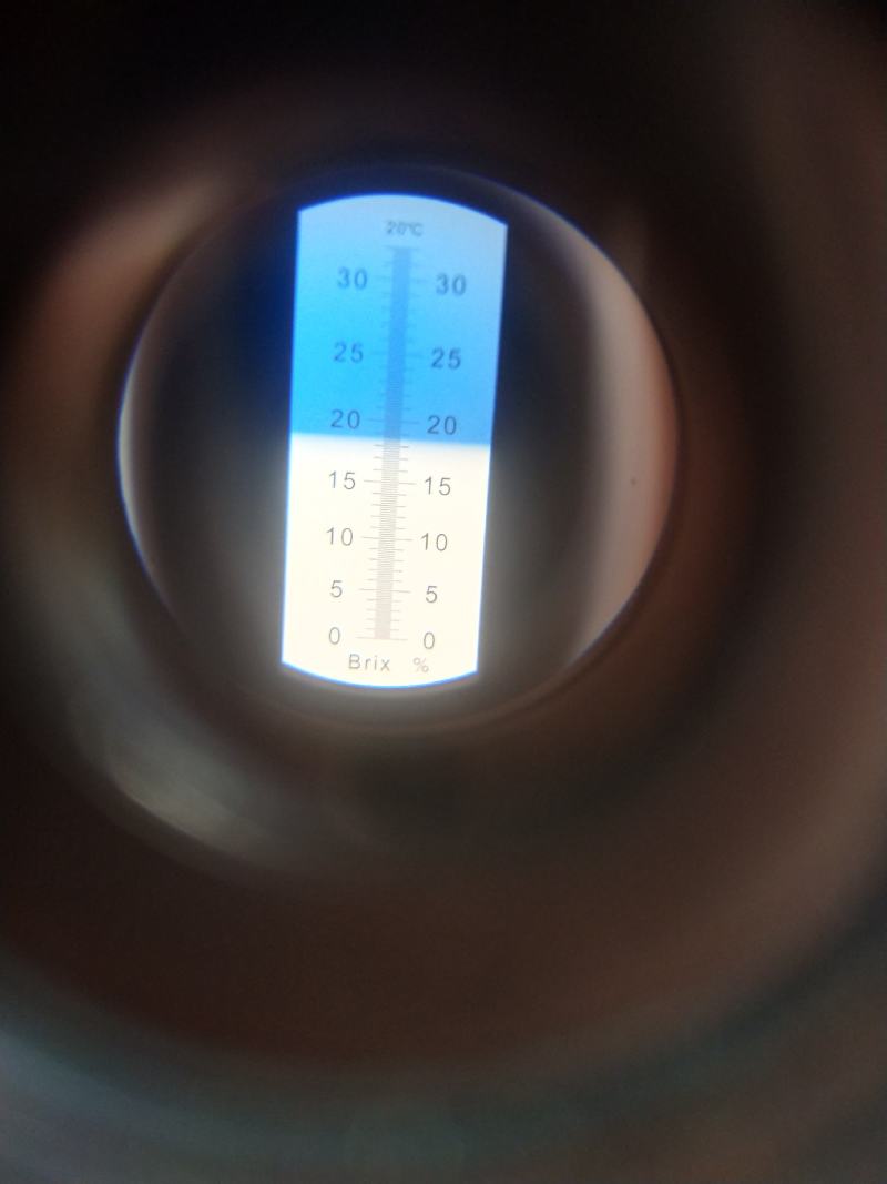 36——3蟠桃，上市了产地一手货源欢迎广大客商前来釆购！