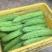 苦瓜（大量上市量大从优，，可长期合作、需要的来电………）