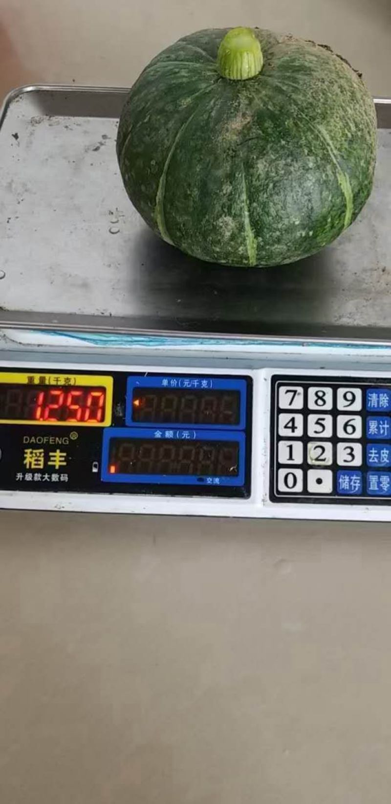 板栗南瓜，银栗南瓜大量上市，适合超市，电商平台，加工厂
