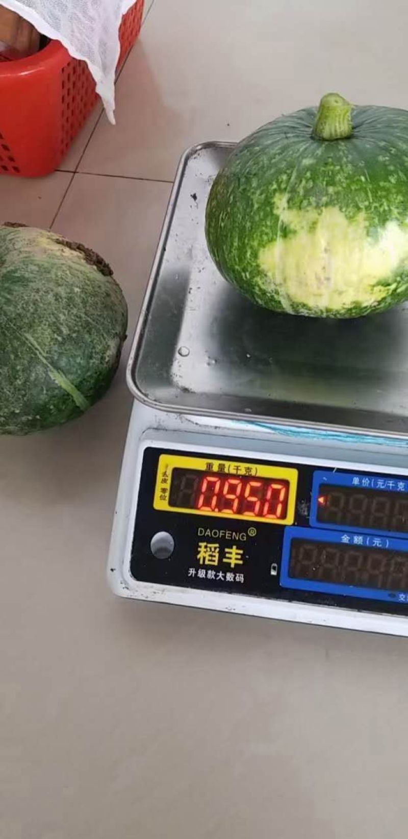 板栗南瓜，银栗南瓜大量上市，适合超市，电商平台，加工厂