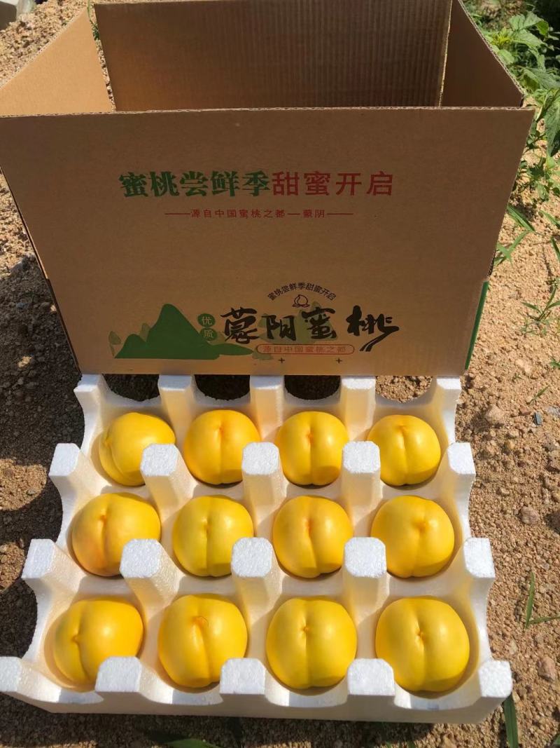 蒙阴黄金油桃现摘现发黄桃新鲜桃子脆甜包邮