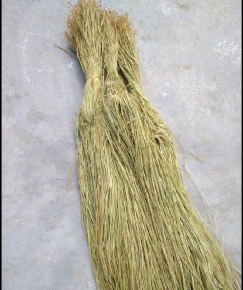 四川苎麻之乡大量苎麻丝，青麻丝
