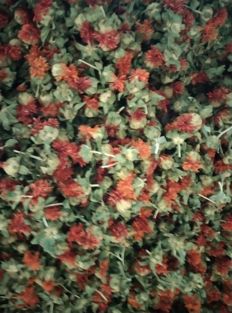 红花果