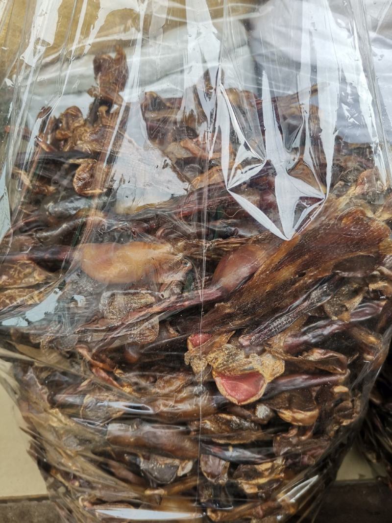 优质狗鞭货干价格实惠量大从优欢迎选购