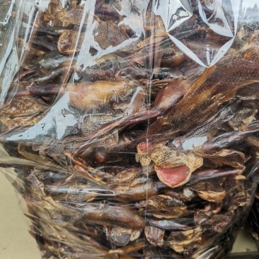 优质狗鞭货干价格实惠量大从优欢迎选购