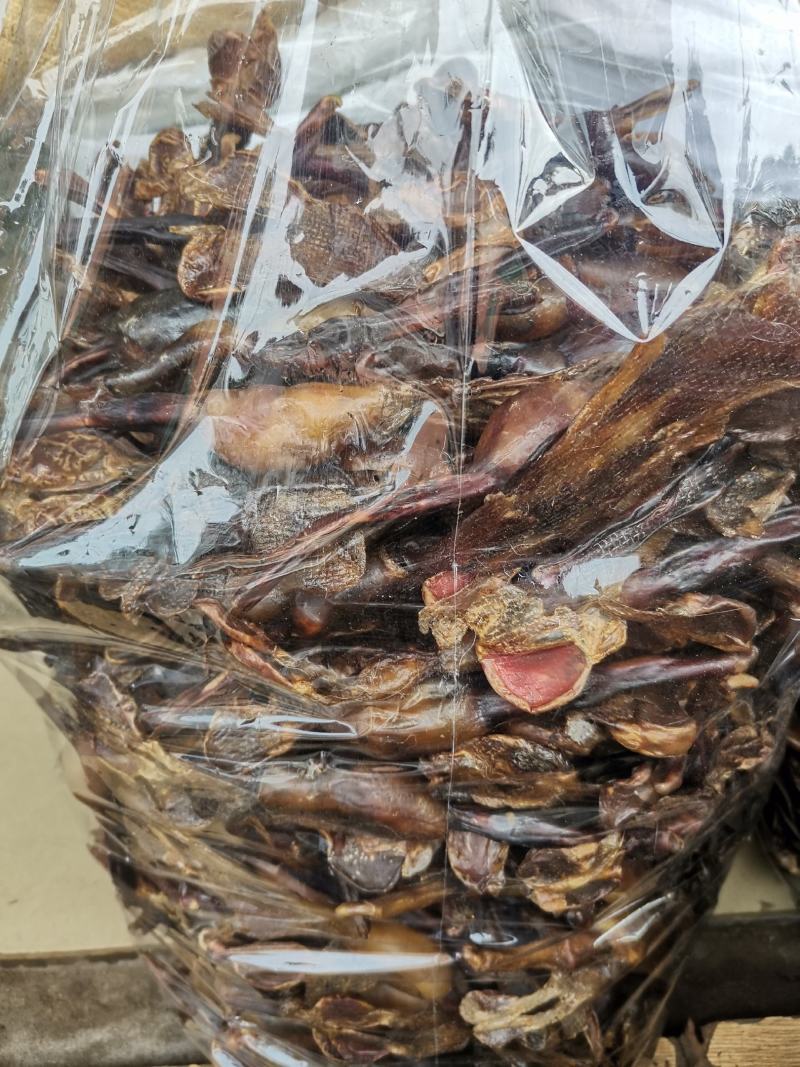 优质狗鞭货干价格实惠量大从优欢迎选购