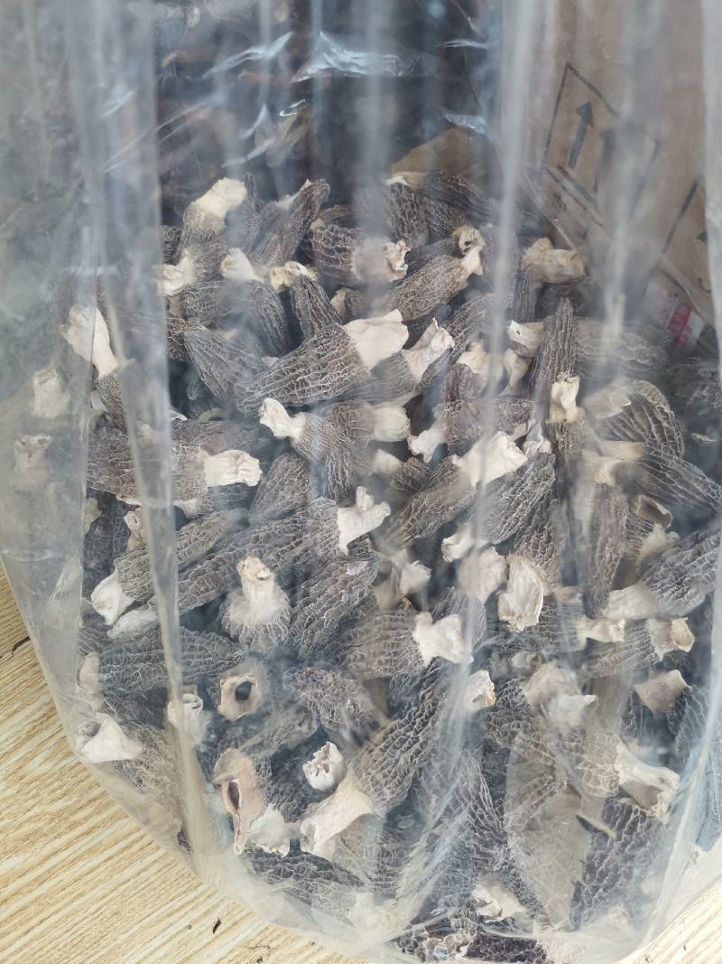 优质云南羊肚菌规格齐全量大从优欢迎惠顾