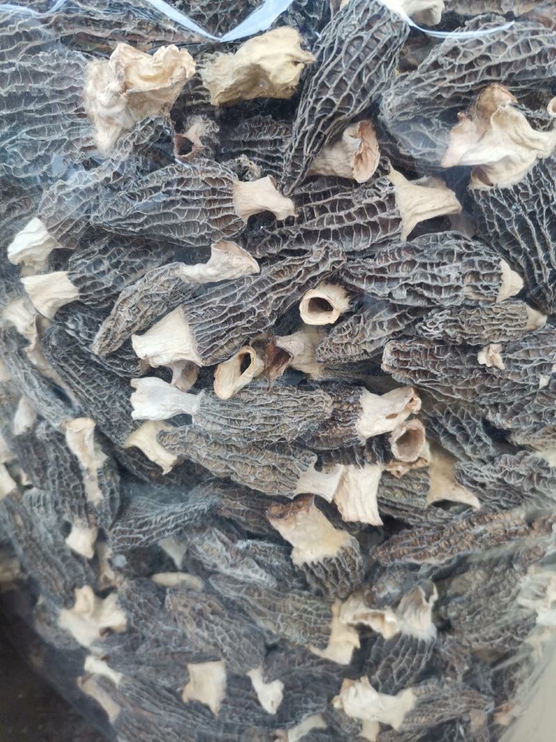 优质云南羊肚菌规格齐全量大从优欢迎惠顾