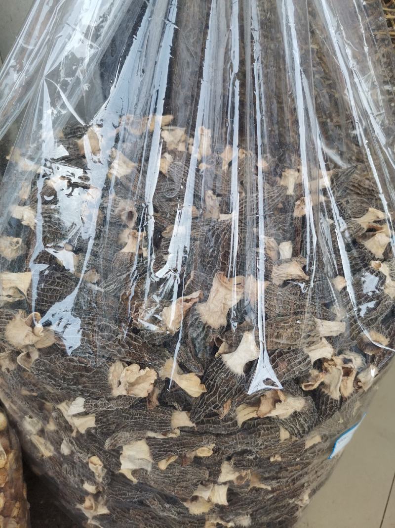 优质云南羊肚菌规格齐全量大从优欢迎惠顾