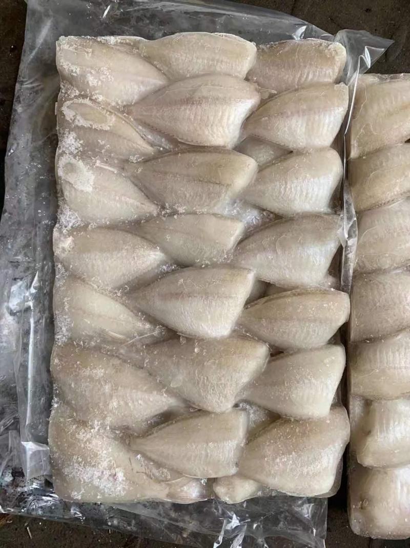 玻璃鱼批发马面鱼批发耗儿鱼批发剥皮鱼批发