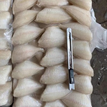 玻璃鱼批发马面鱼批发耗儿鱼批发剥皮鱼批发