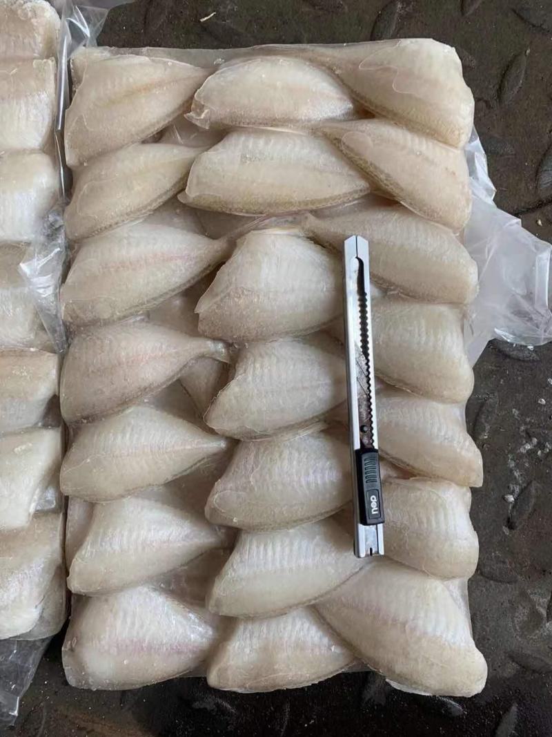 玻璃鱼批发马面鱼批发耗儿鱼批发剥皮鱼批发