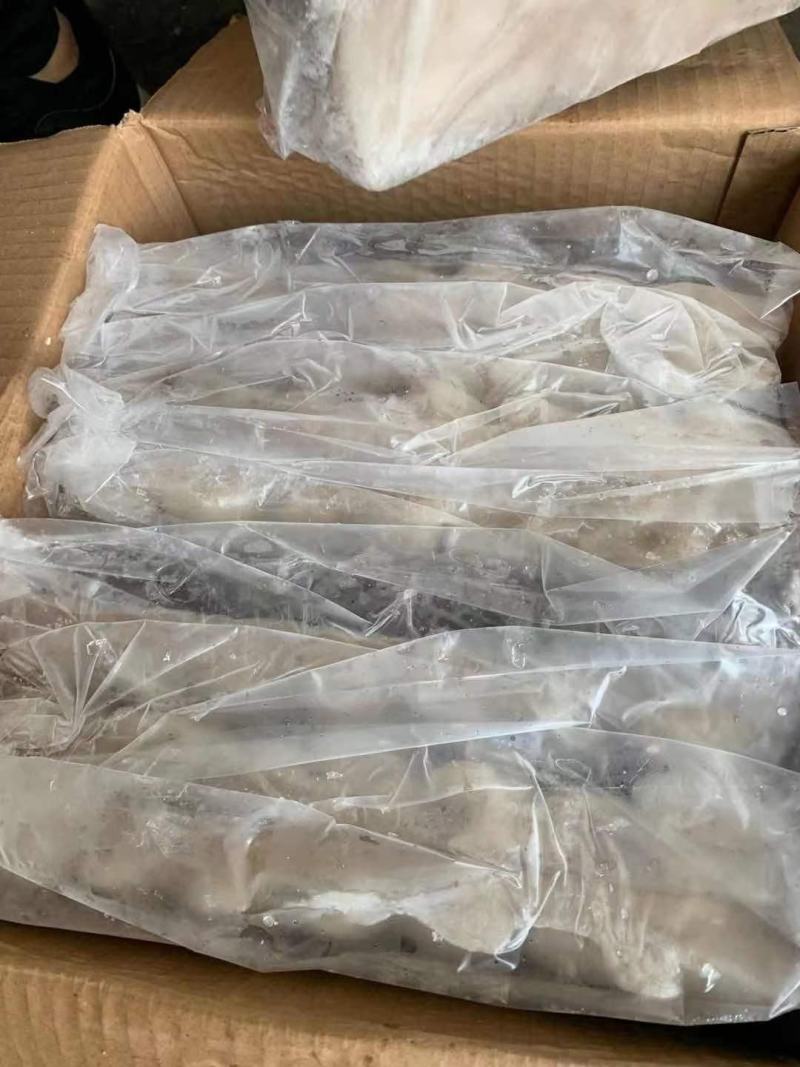 玻璃鱼批发马面鱼批发耗儿鱼批发剥皮鱼批发