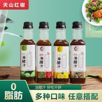 油醋汁0脂肪零低脂低卡轻卡油醋汁拌菜汁蔬菜沙拉酱多省包邮