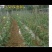 爬藤网小西瓜攀爬网黄瓜网加粗吊瓜网冬瓜爬秧网