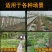 爬藤网小西瓜攀爬网黄瓜网加粗吊瓜网冬瓜爬秧网