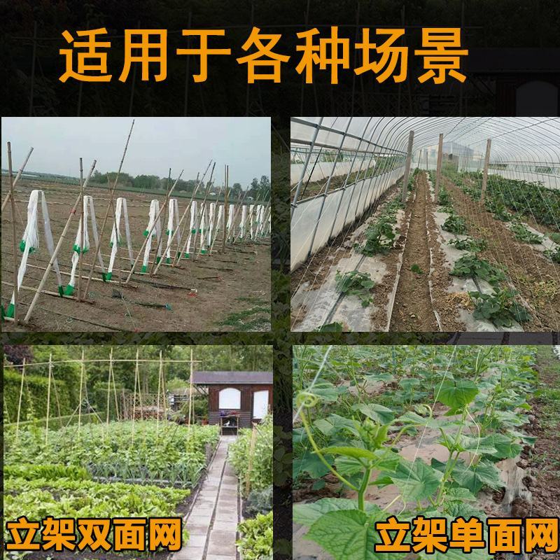 爬藤网小西瓜攀爬网黄瓜网加粗吊瓜网冬瓜爬秧网