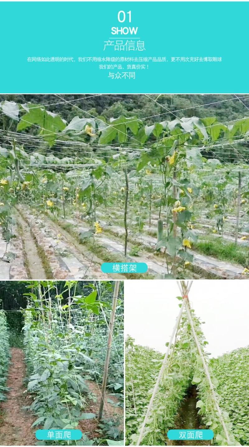 爬藤网小西瓜攀爬网黄瓜网加粗吊瓜网冬瓜爬秧网